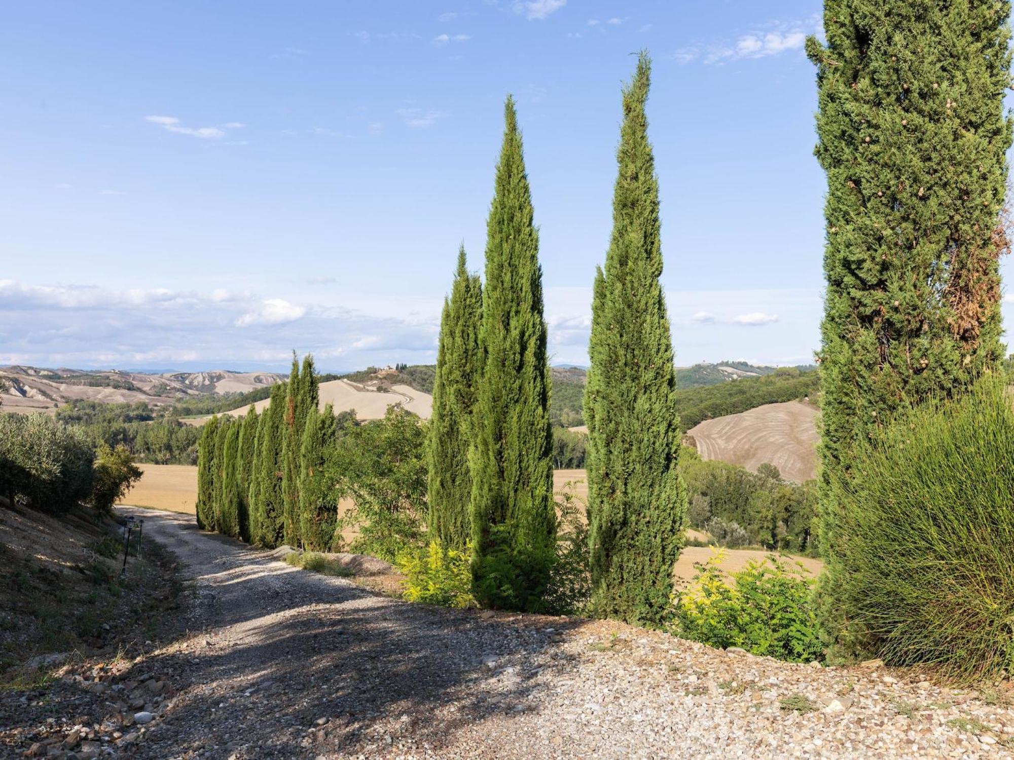 360 Degree View Over The Tuscan Hills *